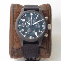 샤프하우젠 IWC