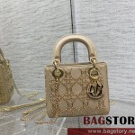 디올 DIOR 레이디백17CM