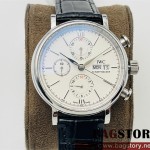 샤프하우젠 IWC