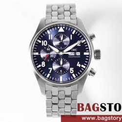 샤프하우젠 IWC