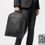 루이비통 Louis Vuitton 에비뉴 백팩 N40501