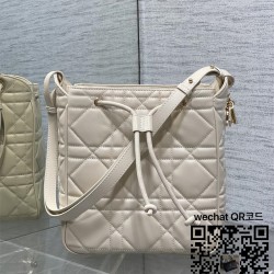 디올 카로 신상 버킷백 미디움